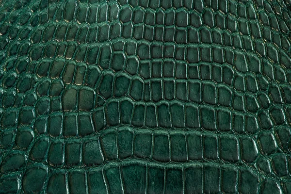 Green alligator leather