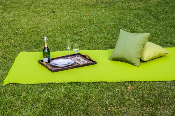 Outdoor picnic with outdoor fabric and pillows