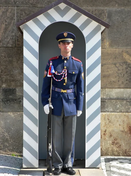 Guard of honor, Prague, Czech Perublic. Date: 25.04.2006