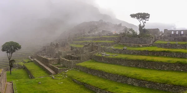 View of terraces of Lost Inca City of Machu Picchu. Low clouds.