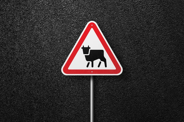 Road sign triangular shape with a picture of the cow on a background of asphalt. The texture of the tarmac, top view.