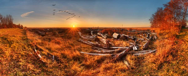 Orange sun brightens  landscape