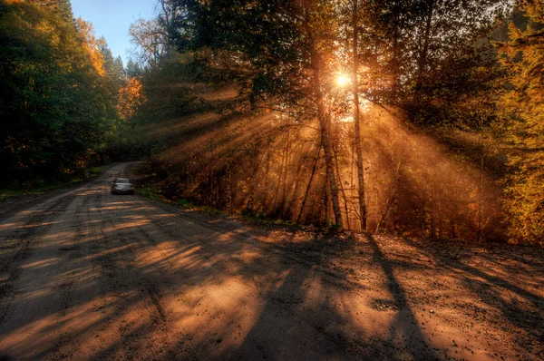 Mountain road sunrise