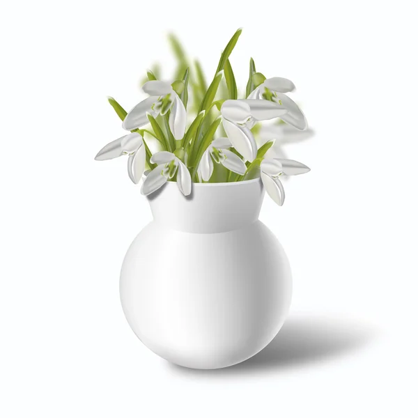Spring flowers. White vase with snowdrops