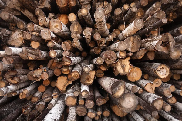 Industrial wood, logs