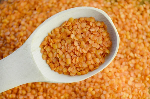 Grain red lentils