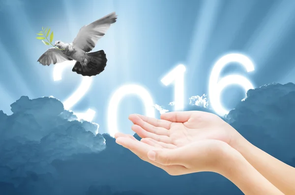 Hand releasing a bird into the air on sky 2016 background , all