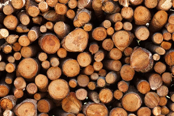 Brown wooden logs