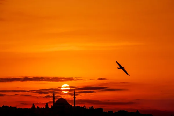 Mosque and bird silhouettes