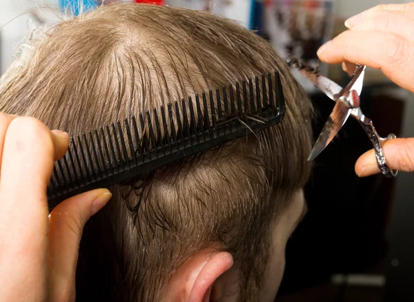 Hairdresser cuts hair with scissors on crown of. handsome satisfied client in  professional hairdressing salon