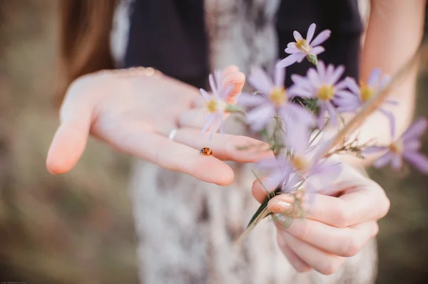 Ladybug sitting on your outstretched hand