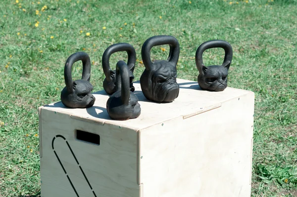 Black, shiny iron weights in the form of heads dogs bulldog and cats , weightlifting fitness wooden box, open air on background green grass, sending.