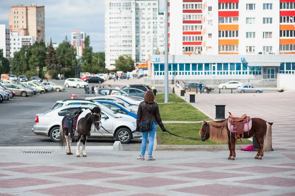 Pony waiting young riders in the park