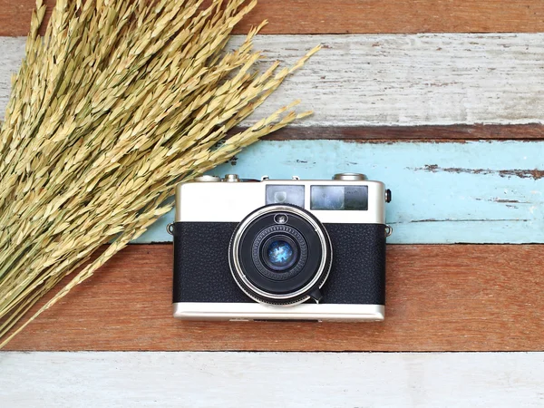 Select focus vintage old camera with rice plant  on the old wooden