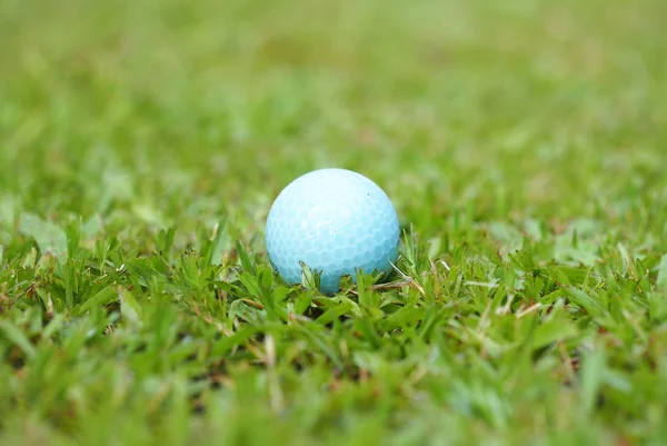 Golf crystal blue ball on green grass in golf course