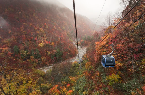 Cable car above  wooded mountains