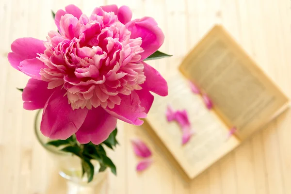 Pink peony flower in a vase with open book on background