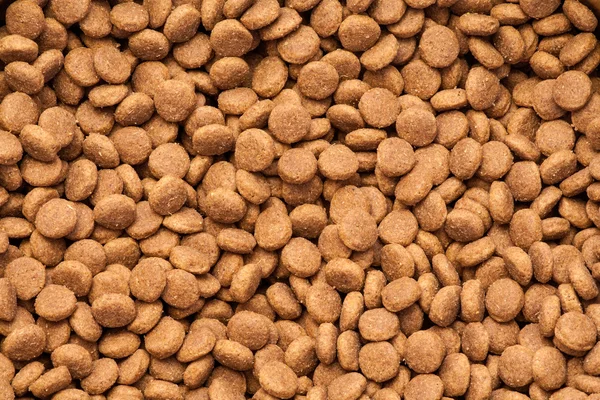 Dog dry food background.
