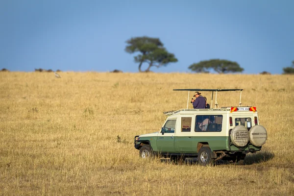 Tourists enjoying game drive in  Serengeti Park