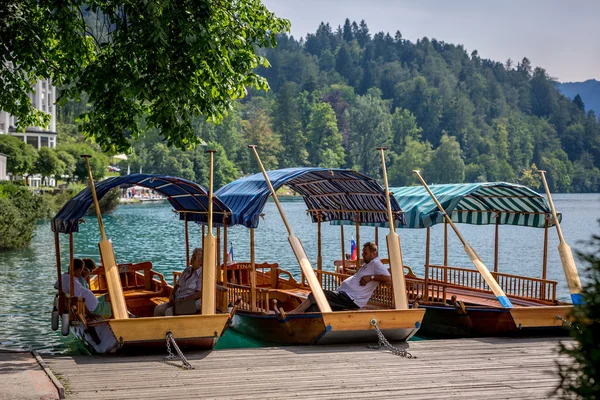 Boat drivers in boats in lake of Bled