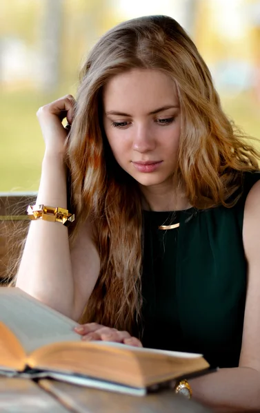 Calm, hard-working, serious, industrious and diligent student like reading book, read smart and new interesting boods.Very beautiful,cute,gorgeous,pretty,nice,attractive blonde girl with long,light hair read interesting book outdoors.Girl with book.