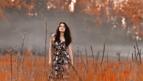 Autumn landscape.Beautiful girl stand in the center of red field with straws,crops,ears.Beautiful,posing,standing,seductive,stunning,sexual brunette girl in long modern stylish dress with flowers in the middle of red,yellow field with flowers and fog