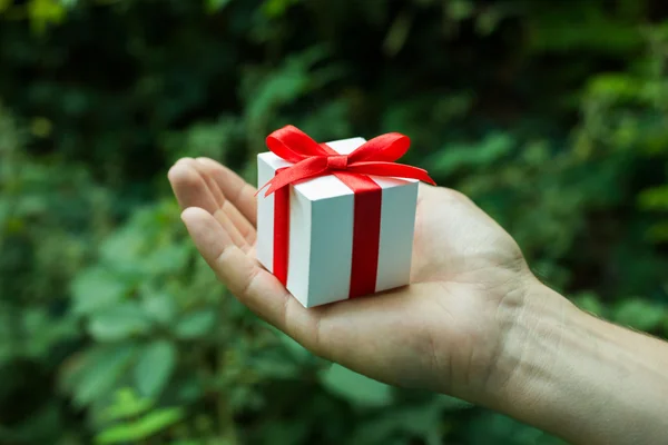 White gift box with red ribbon bow in man hands