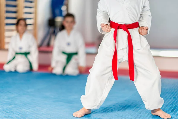 Taekwondo kid  in fighting stance