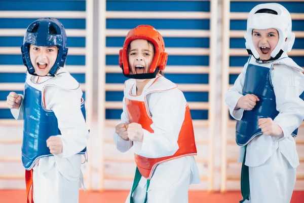 Children in Taekwondo fighting stance