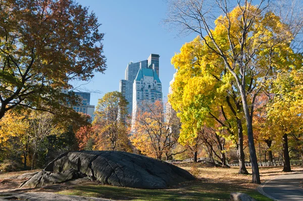 Autumn colors in Central Park