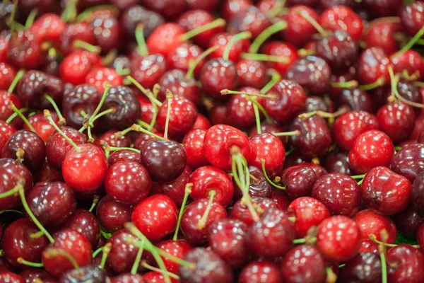 Red cherries in bulk for the summer at the fruit shop