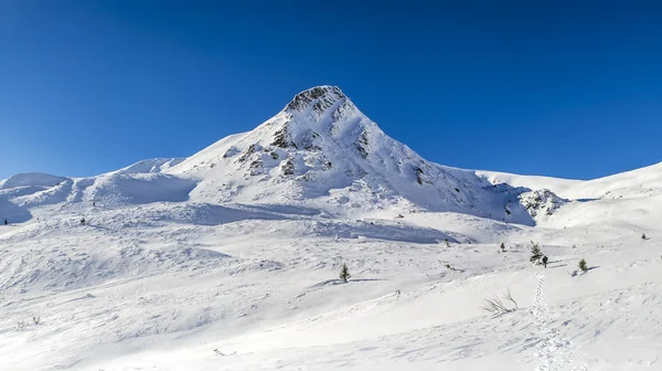 Winter view of the mountain summit