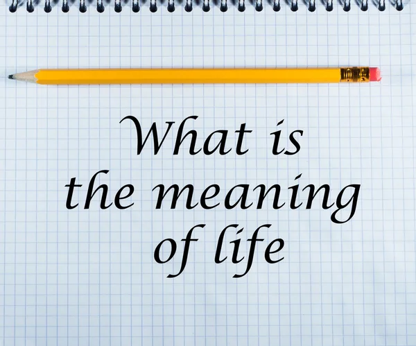 What is the meaning of life
