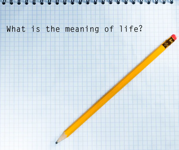 What is the meaning of life