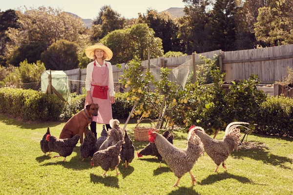 Senior woman in backyard with chickens