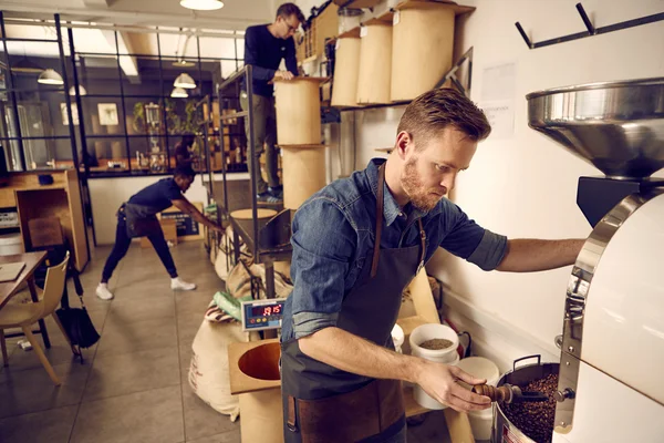 Men working in modern coffee roastery