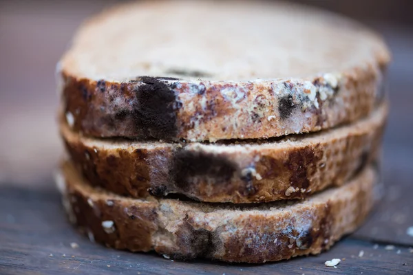 Fungus on expire bread