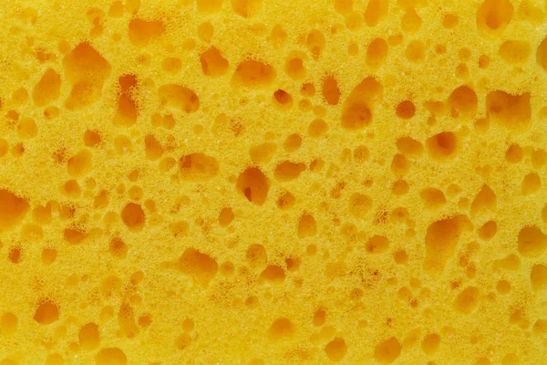 Background of yellow sponges