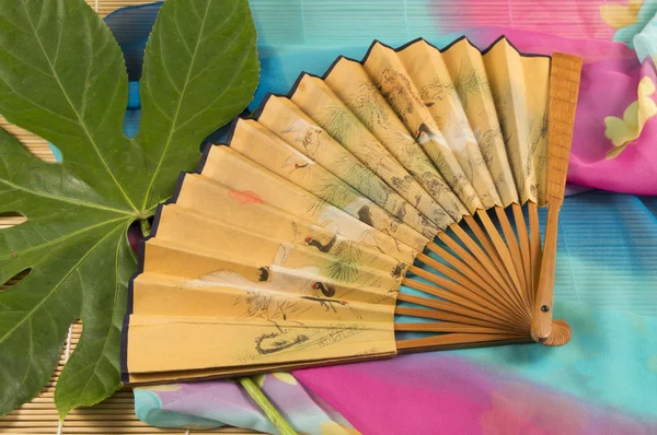 The fan with the characters lying on a green leaf