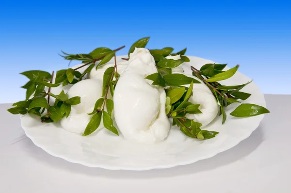 意大利食品莫尔泰拉的水牛芝士 - 图库照片ma