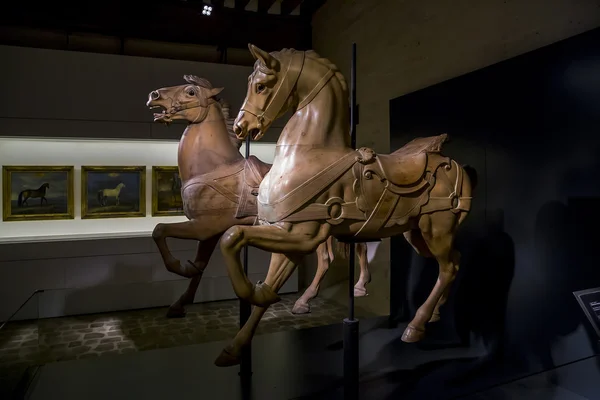 The exhibits of the Museum of Horses