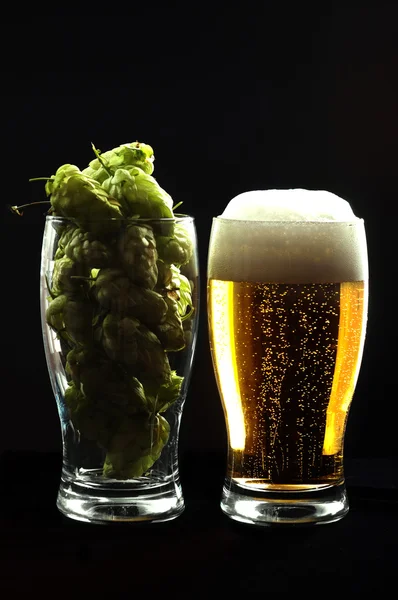 Light foamy beer in a glass next to the glass, which is hop on a black background. Isolated objects. alcohol consumption concept