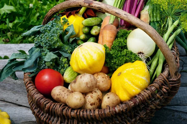 Squash, zucchini, tomatoes, corn, cucumbers, onions, beets, carrots in a wicker basket on a grass background. Vegan concept. Natural organic farm products. Summer vegetable background (wallpaper)