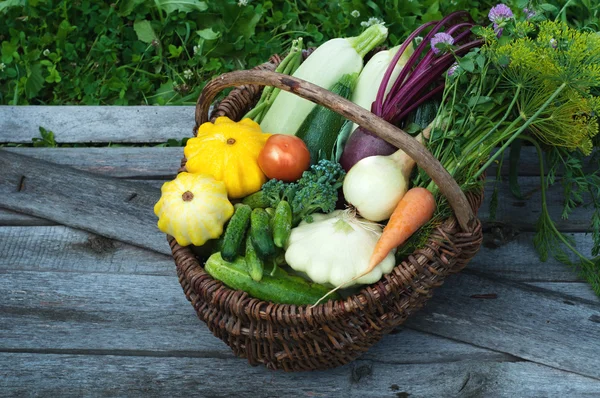 Wicker basket with harvest collected on a background of wooden planks and grass. Squash, zucchini, tomatoes, corn, cucumbers, onions, beets, carrots. Vegan concept. Natural organic farm products