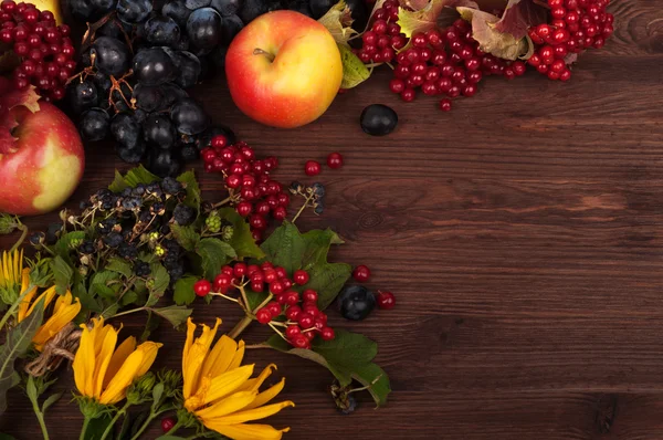 Autumn Still Life. Apples, blue grape, cranberry, blackberry and yellow flowers on a dark wooden background. Place for writing text. Vegetarian concept.