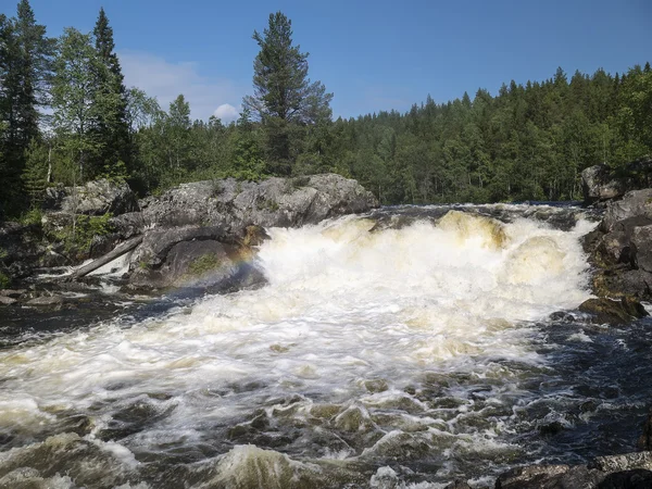 Wild waterfall Kivakkakoski, Kivakksky threshold in Karelia. Summer water landscape.