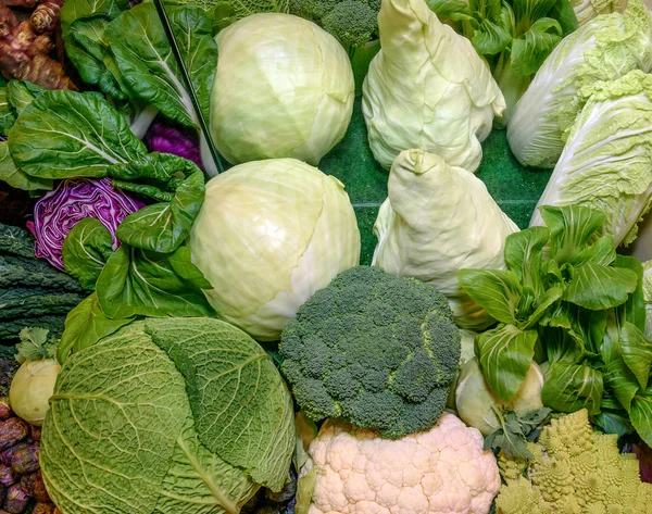 Fresh raw ruciferous vegetables. Savoy cabbage, red cabbage, broccoli, cauliflower, chinese cabbage, kohlrabi, romanesco broccoli