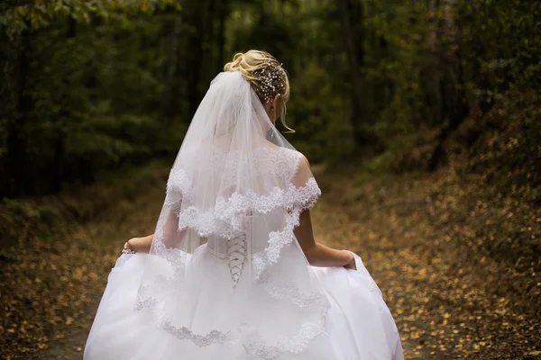 Photo of the bride from the back, wedding dress on a girl, the bride in the forest