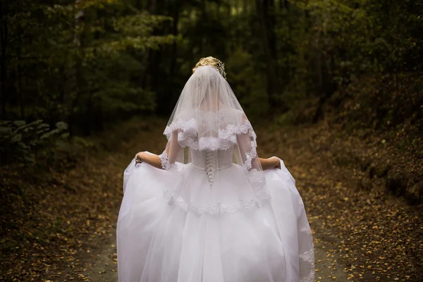 Photo of the bride from the back, wedding dress on a girl, the bride in the forest