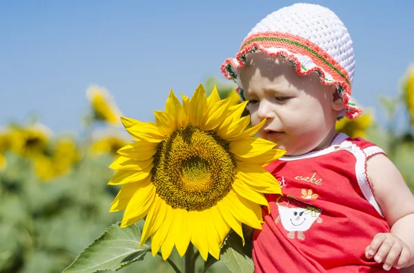 Girl in the sunflowers field with sunflowers, summer landscape,  field of blooming sunflowers, sunny weather, leisure and education of children
